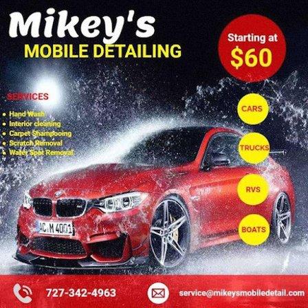 Mikey's Mobile Detail