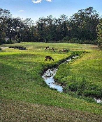 Providence Golf Club