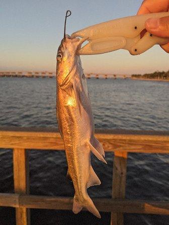 Riverwalk Fishing Pier