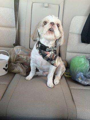 Amanda's Pet Salon