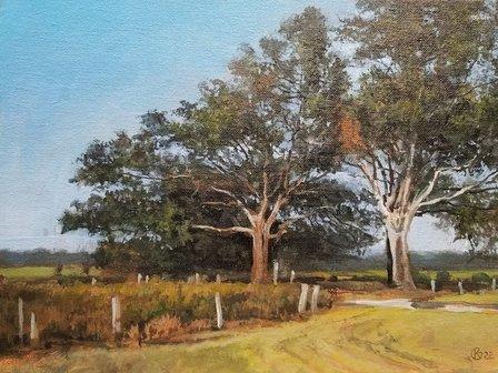 Kevin Grass Fine Art