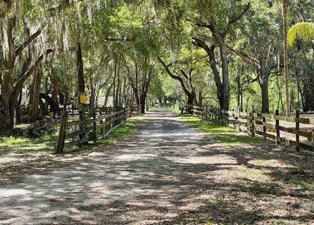 Myrtle Oaks Campground