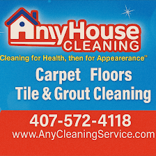 Any House Cleaning