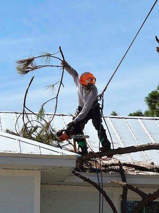 Grelite Tree Trimming & Stump Grinding LLC