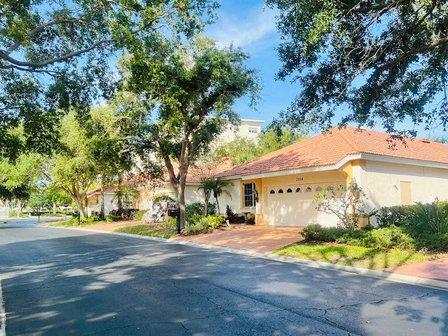 Jacaranda Trace