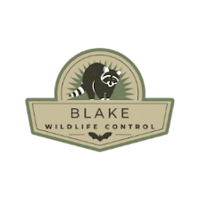Blakes Wildlife | Pest Control Removal Services