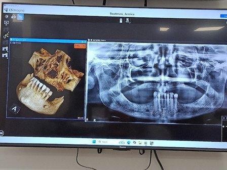 The Dental Boutique Trinity