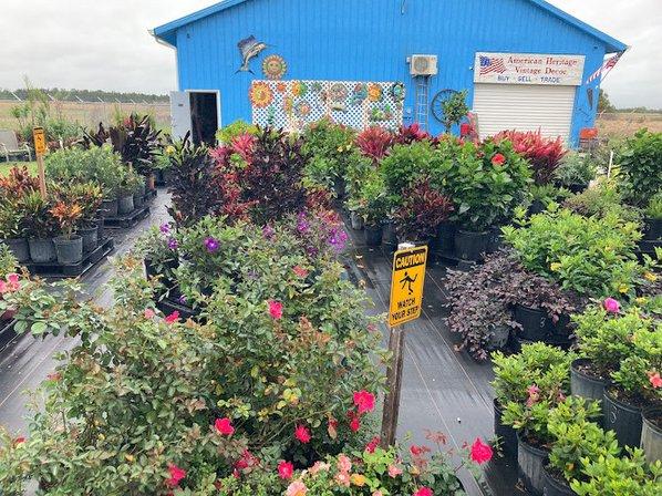 American heritage vintage decor and Plant nursery
