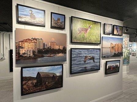 Number 33 Gallery of Arts