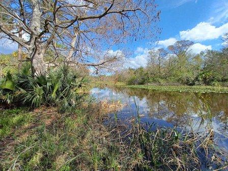 Sherwood L. Stokes Preserve