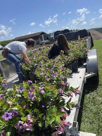 Powell Nursery & Landscaping