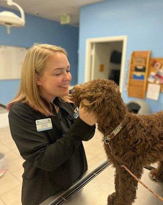 Lakeland Animal Clinic