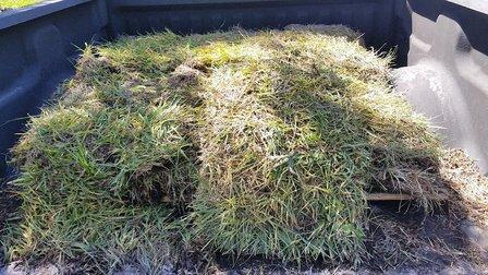Citrus Sod Inc