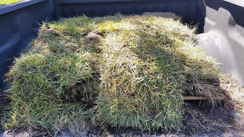 Citrus Sod Inc