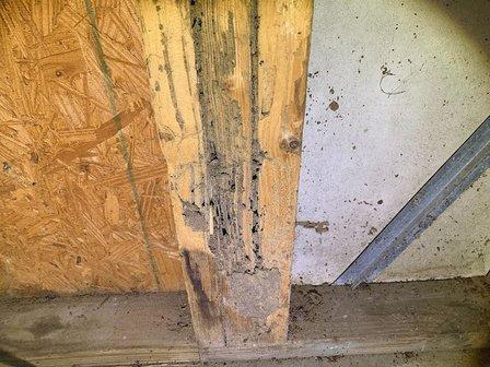 Florida Termite Inspections, LLC