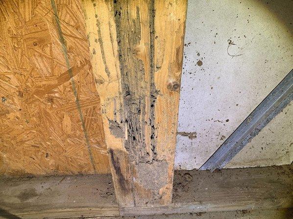 Florida Termite Inspections, LLC