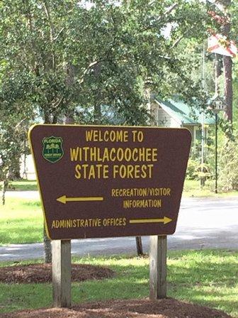 Withlacoochee State Forest Visitor Center