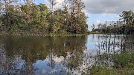 Lake Marion Creek Wildlife Management Area