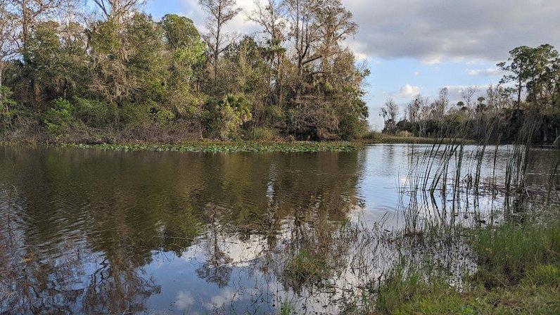 Lake Marion Creek Wildlife Management Area