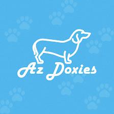 AZ Doxies | Dachshund Breeder