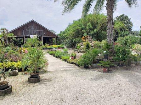 Robbins Nursery