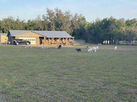 Billes Farming