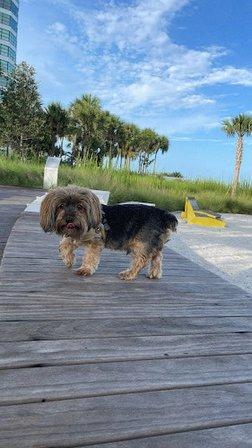 Pooch Adventures LLC