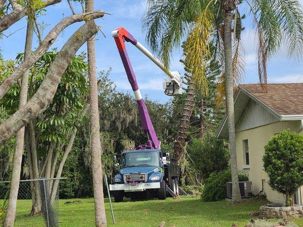 Leilani Tree Service