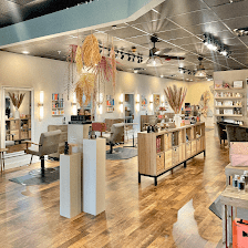 Salon Salon of AMI