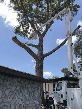 Danny's Tree Services