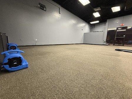 Mint Carpet & Upholstery Cleaning