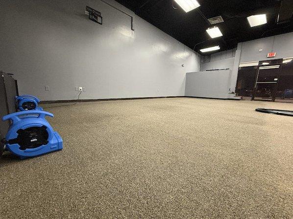 Mint Carpet & Upholstery Cleaning