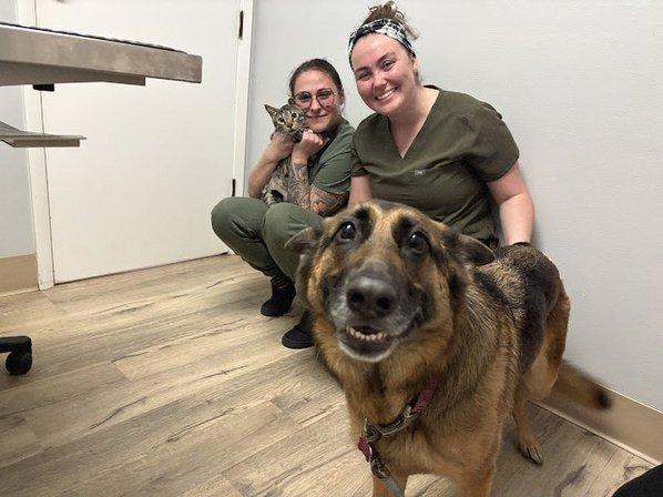 Anclote Animal Hospital