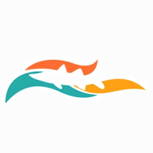 See The Bay Boat Tours @ Hart's Landing