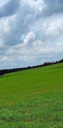 Sugarbrook Farm