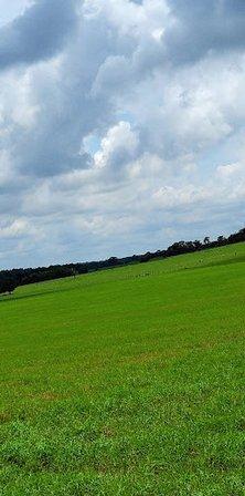 Sugarbrook Farm