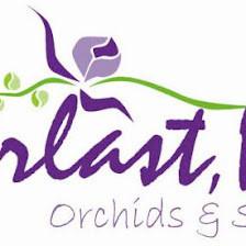 Everlast Inc