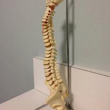 Cleveland Heights Chiropractic Clinic