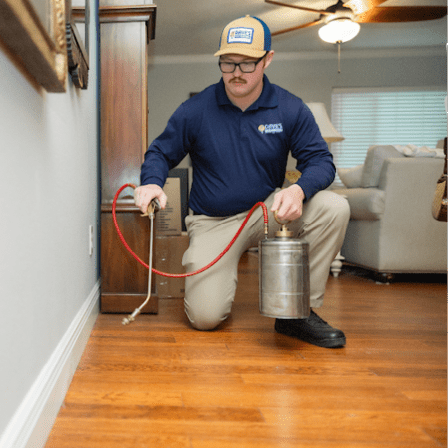 Dave's Pest Control - Lakeland