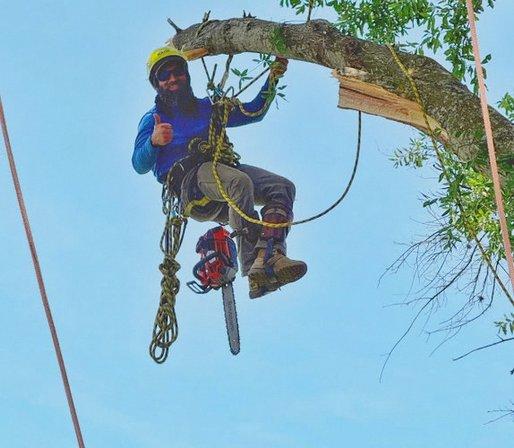Tree Care Alliance LLC