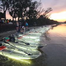 Anna Maria Island Clear Kayak Tours