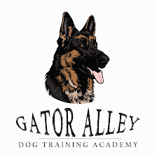 Gator Alley Dog Training, LLC