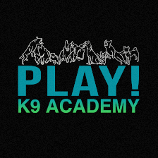 PLAY! K9 Academy