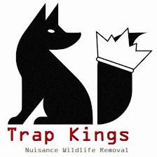 Trap Kings Animal Trapping & Pest Control Services