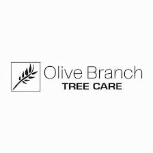 Olive Branch Tree Care