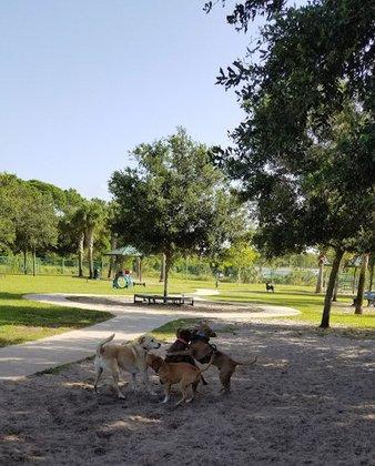Canine Club Dog Park