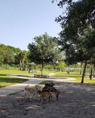 Canine Club Dog Park
