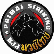 Primal Striking and BJJ