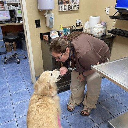 Hidden Oaks Animal Hospital