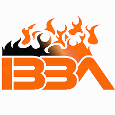 Instant Bed Bug Assassins